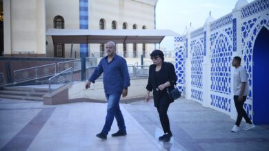 فردوس عبد الحميد