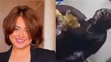 مروة عبد المنعم