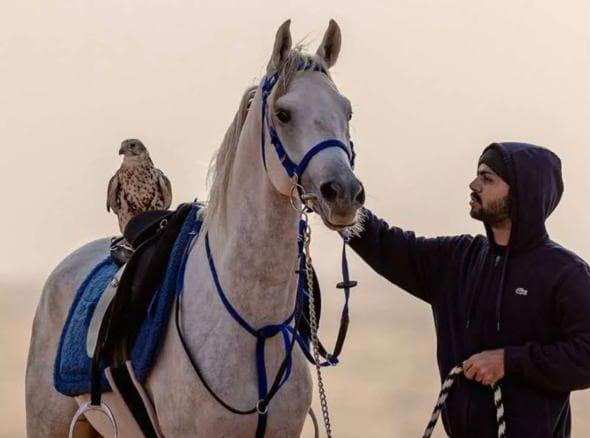 محمد العياف