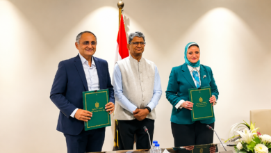 مشروع كهرباء