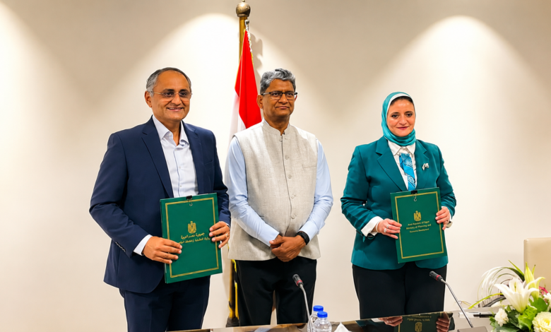 مشروع كهرباء
