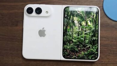 iPhone Duo