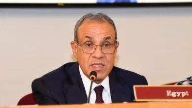 الخارجية المصرية