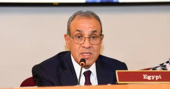 الخارجية المصرية