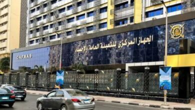 الاحصاء والتعبئة